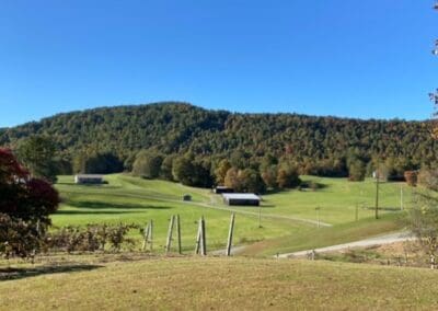 Winery Wedding Venue Landscape