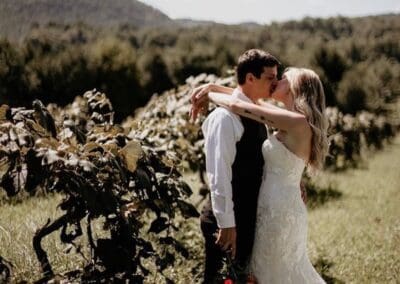 Couple at vineyard wedding